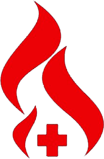 Logo da consórcio Toyota